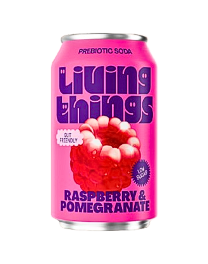 Living Things Rasberry & Pomegranate 33cl burk 12-pack